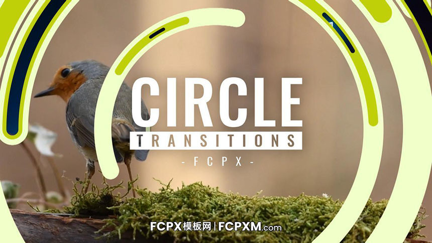 FCPX转场过渡模板 15个圆形动画视频转场过渡fcpx模板下载