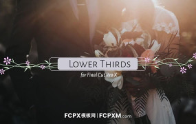 FCPX模板 藤蔓生长动态婚礼标题动态文字fcpx模板下载